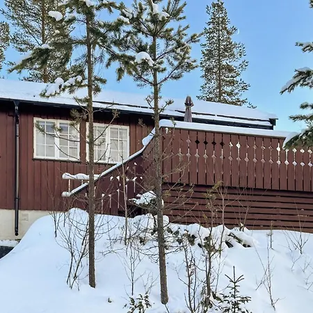2 Bedroom Pet Friendly In Rendalen